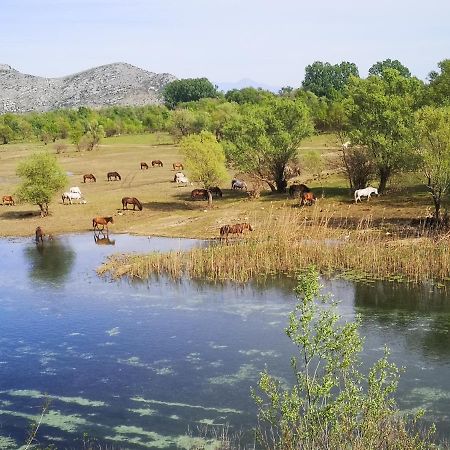 Wild Beauty House Skadar Lake Цетине Экстерьер фото